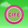 CIFE
