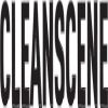 CleanScene