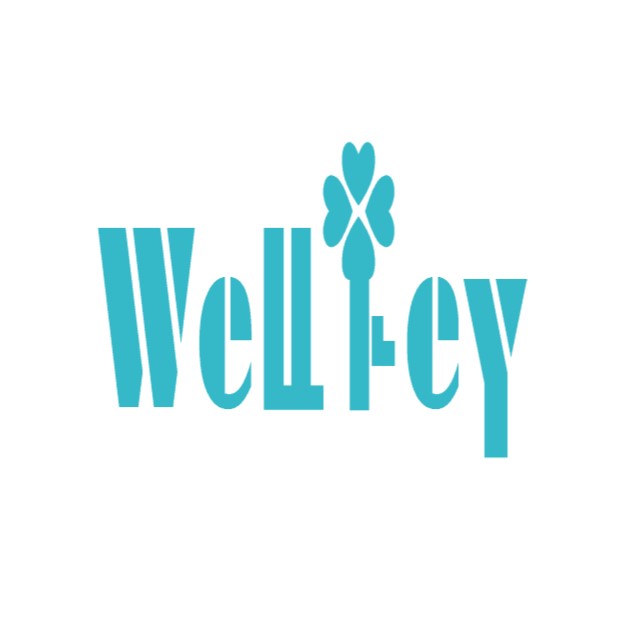 WELLKEY INDUSTRY COMPANY LIMITED