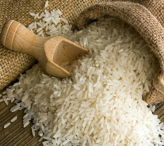 Rice by SPECOM Universe