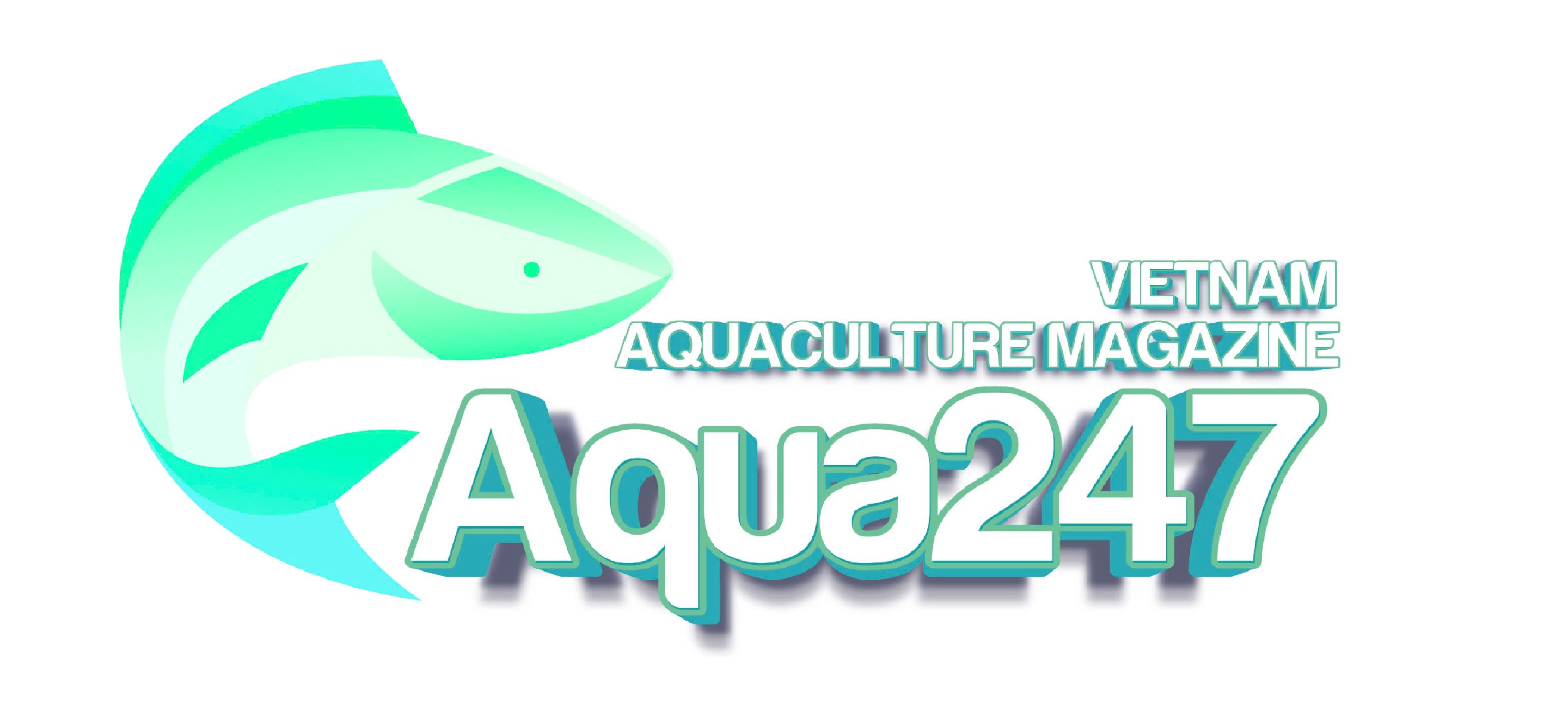 Aqua 247