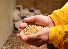 Wide Scope of Feed China 2014 in China Huge Market