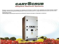 Other Flowers & Plants