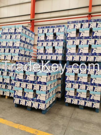 A4 Copy Paper High Quality 80 GSM/ 75 GSM/70 GSM