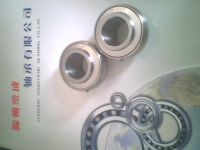 Plastic Bearings