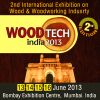 Woodtech India 2013
