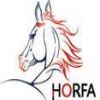 China International Horse Fair