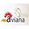 Aviana Asia 2011