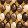 Chicago Chocolate Festival