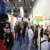 THE GREEN EXPO 2017