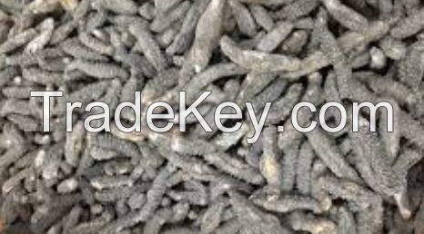 Dried sea cucumber