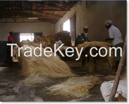 HOT SELL!! SISAL FIBER/ UG GRADE RAW SISAL FIBER/SISAL FIBER