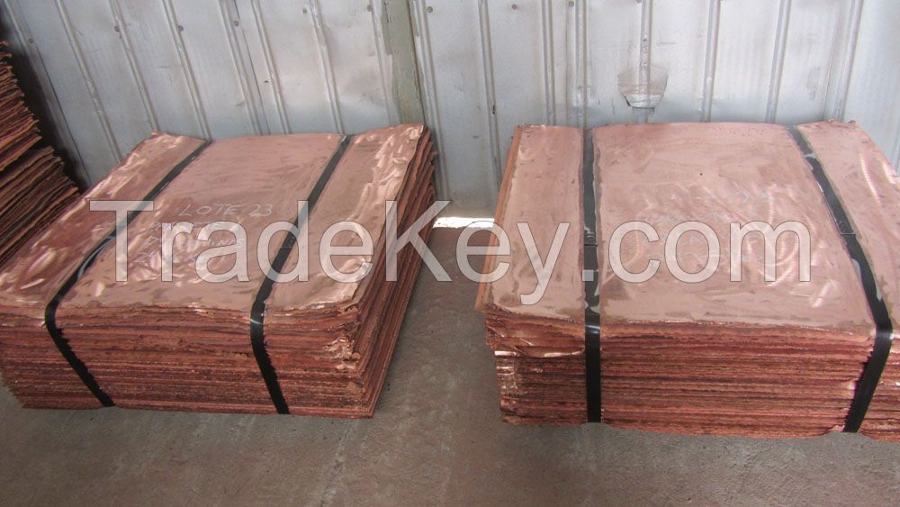 Copper Cathode