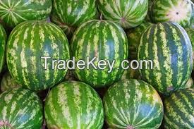 Organic Water Melon