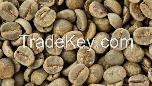 Green Coffee Beans