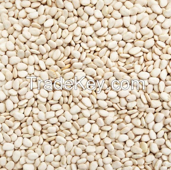 Lima beans