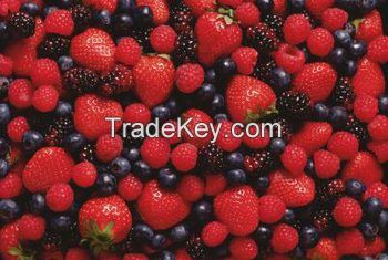 Fresh Berries