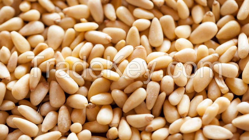 Pure Pine Nuts