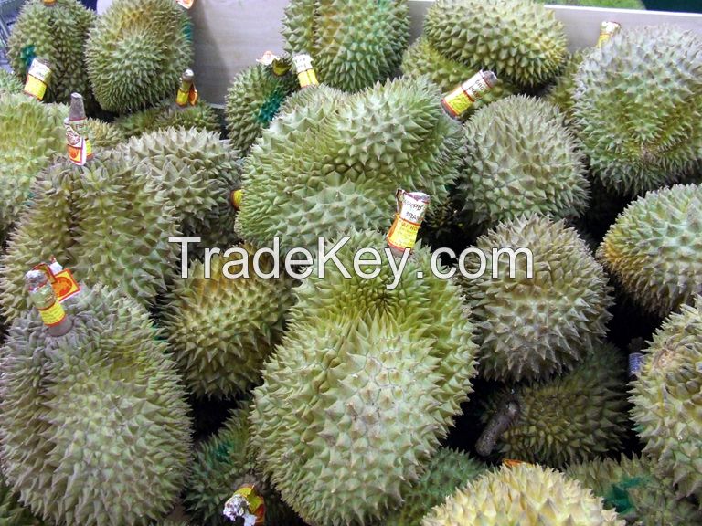 FRESH DURIAN FRUIT FOR SALE