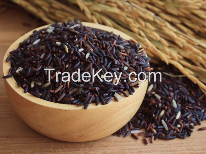 Black Rice