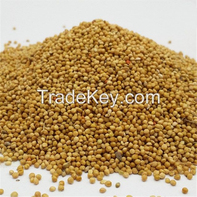 Dried Millet , Hulled Red Millet, Yellow White Mille