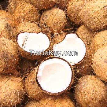 FRESH MATURE COCONUT