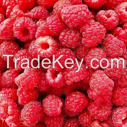 Fresh Raspberry