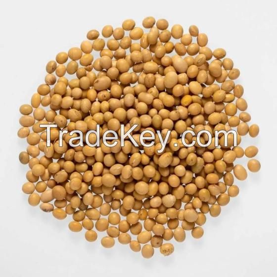 High Quality Non-GMO Soybeans