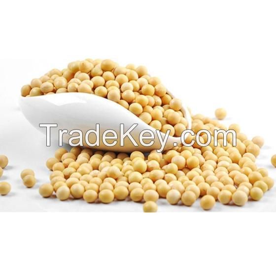 Best Grade Soybean Seeds