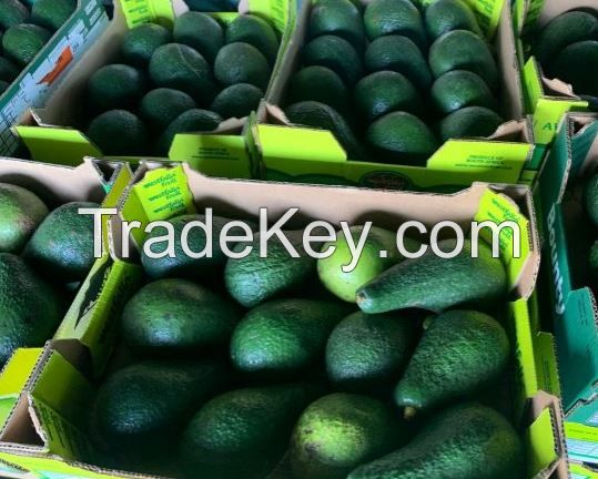 Avocado