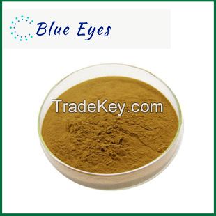 High-Quality Seaweed Extract Seaweed polysaccharide  Natural Source for Antioxidants  Immune Support Bulk Supply