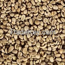 Green Arabica Coffee Beans For Sale