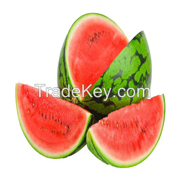 Fresh Watermelon Cheap Price Best Price Available In Stock Fast Delivery Wholesale