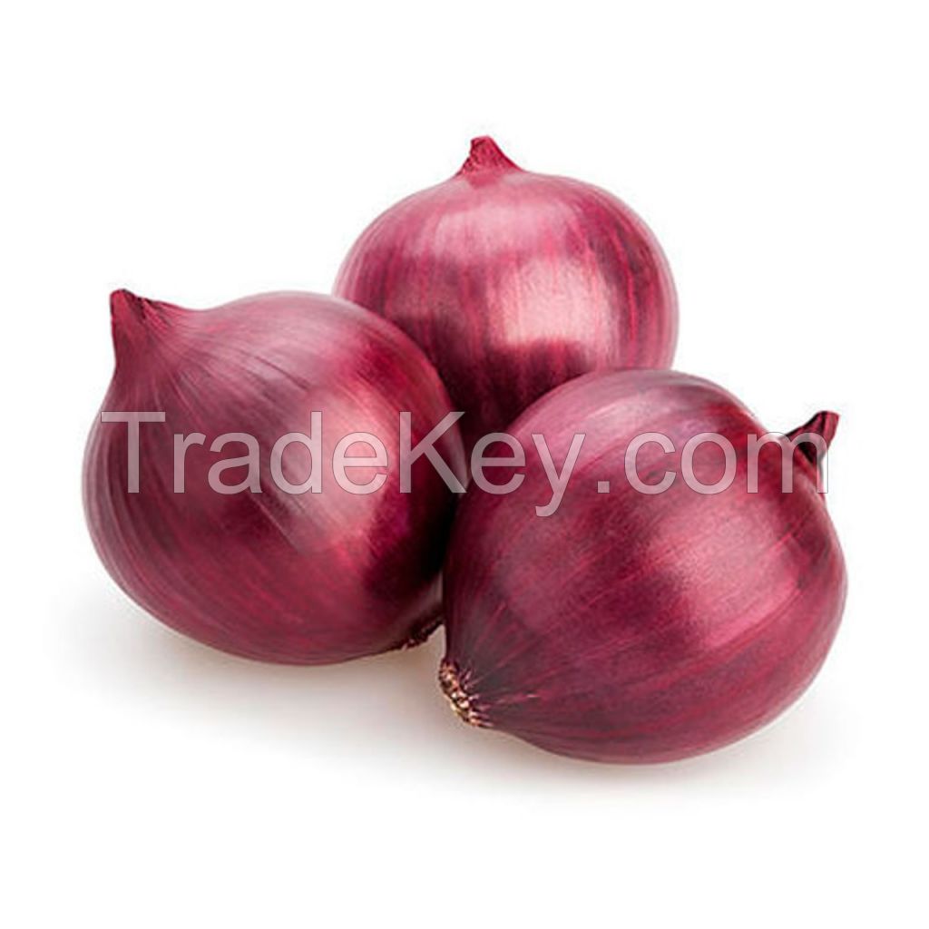 Fresh Onions Bags Rich Nutrition Vegetable Mesh Bag Low Price Fast Delivery Wholesale Cheap Price Fresh Onions Sale Now