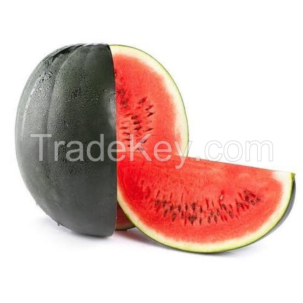 Fresh Sweet Watermelon Supply at Cheap Price Wholesale Natural Juicy Fresh Fruits Fast Delivery In Stock