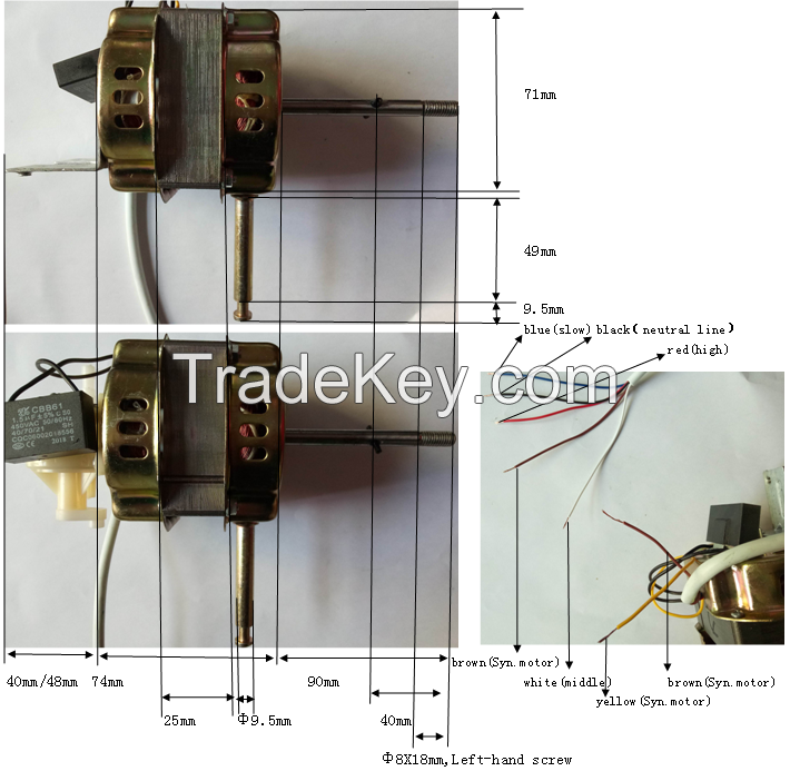 fan motor