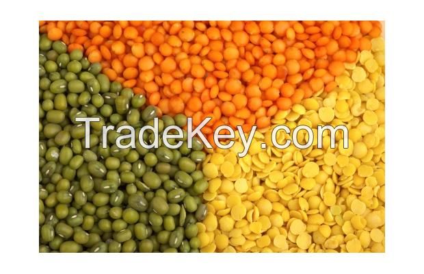 Lentils for sale