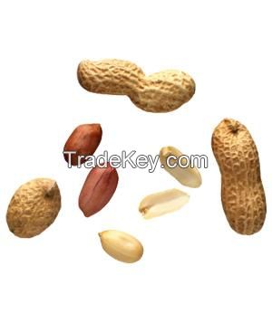 Peanuts