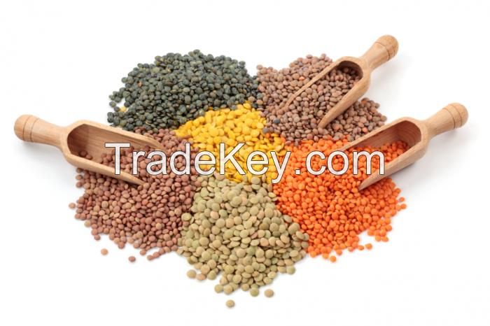 Export quality Chickpeas, Lentils, Pigean peas and Black peper