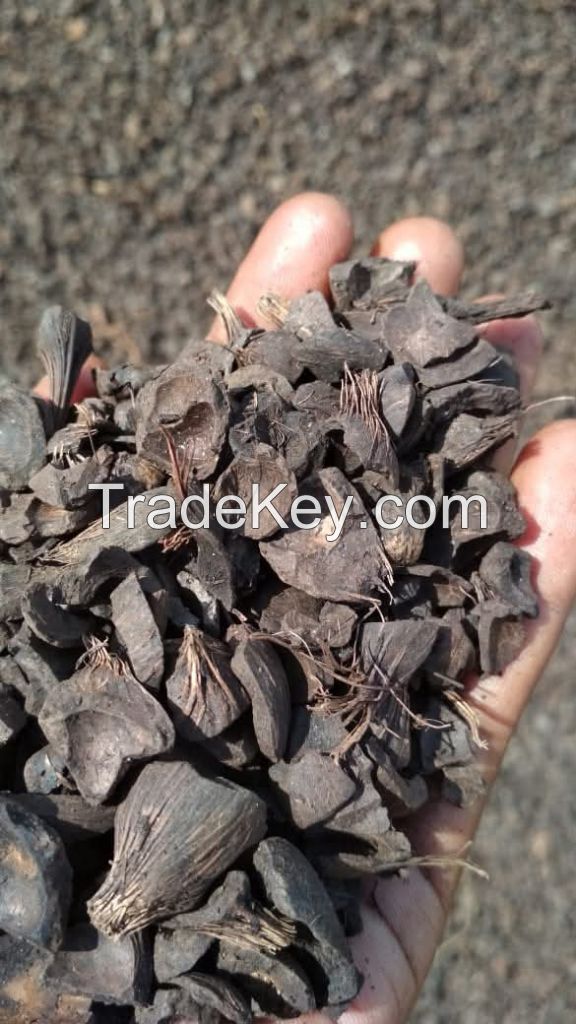 Palm Kernel Shells