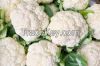 FRESH CAULIFLOWER HIGH QUALITY GOOD PRICE