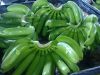 Fresh Green Cavendish Banana