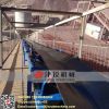 hot selling low price  belt machine belt conveyor