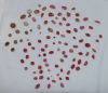 Lot of 104 Queen Pink Caribbean Conch Pearls