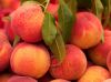 Fresh Egyptian Peach High Quality