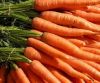 Fresh Carrots