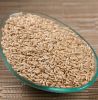Quality Canary Seeds for sale in Bulk