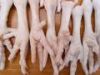 Frozen Chicken Feet