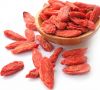 WOLFBERRY / GOJI / DRIED BERRIES / YOGURT PRODUCT / GREENTEA PRODUCT