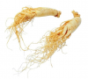 Halal & Kosher qualified Ginseng Root P.E. 80% Ginsenosides